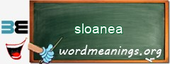 WordMeaning blackboard for sloanea